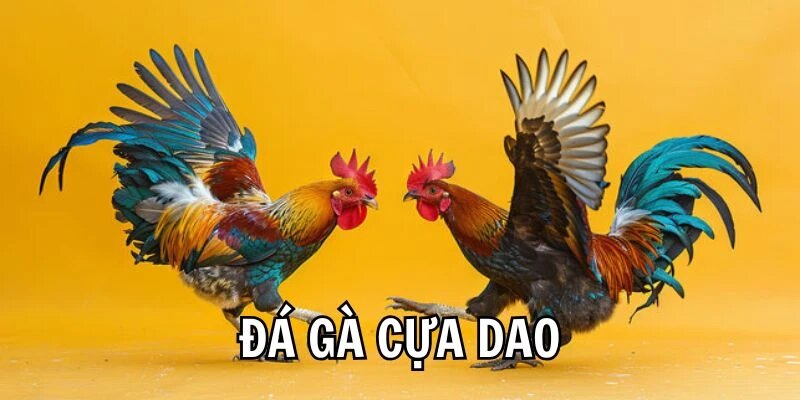 Da-ga-cua-dao